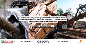 Mjøsbil